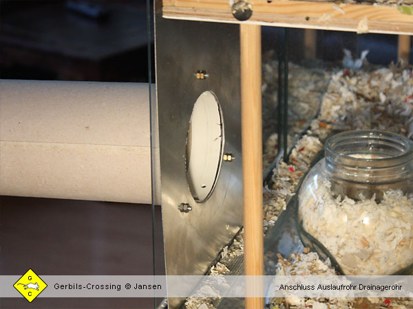 Rennmaus Terrarium Drainagerohr anschließen