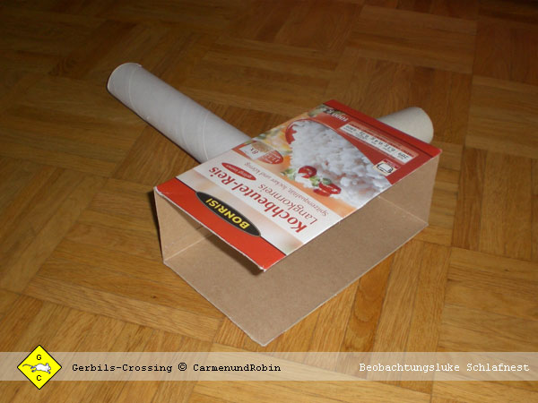 Wüstenrennmaus Beobachtungsfenster mit Klappe