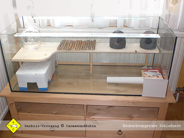 Terrarium Beobachtungsfenster mit Klappe