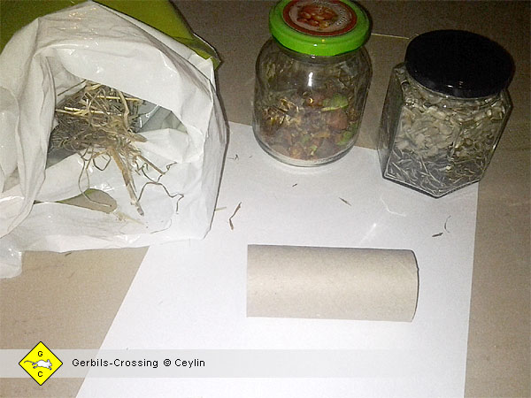Futterversteck für Rennmäuse basteln