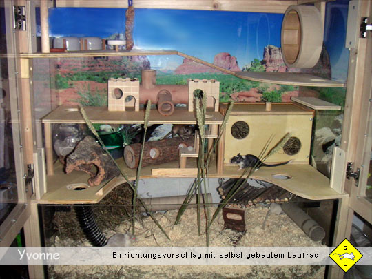 Rennmaus Terrarium Einrichtung Schlafplatz