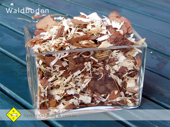 Rennmaus Terrarium Einstreu Waldboden