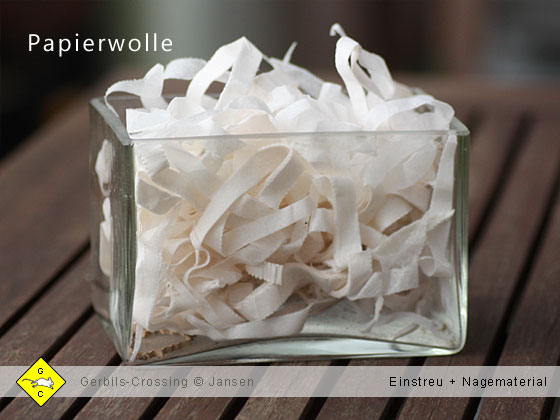 Rennmaus Terrarium Einstreu Papierwolle