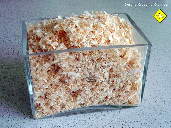 Rennmaus Terrarium Einstreu