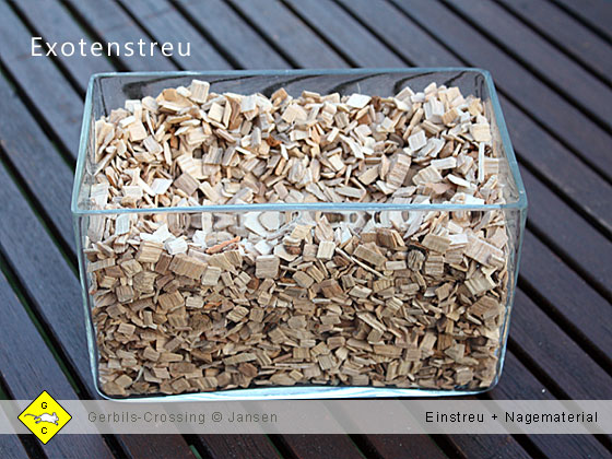 Rennmaus Terrarium Einstreu Exotenstreu