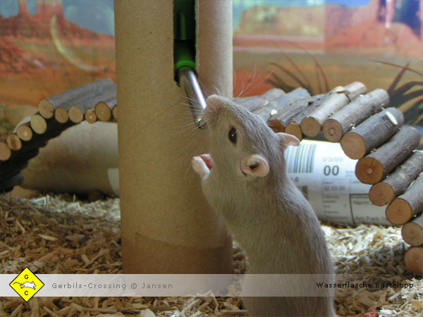 Rennmaus Halter für die Wasserflasche