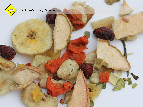 Chinchilla Fruchtsalat Ergänzungsfutter Rennmausfutter