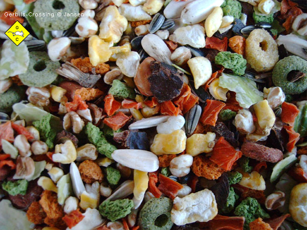 Nagermüsli mit Trockenfrucht