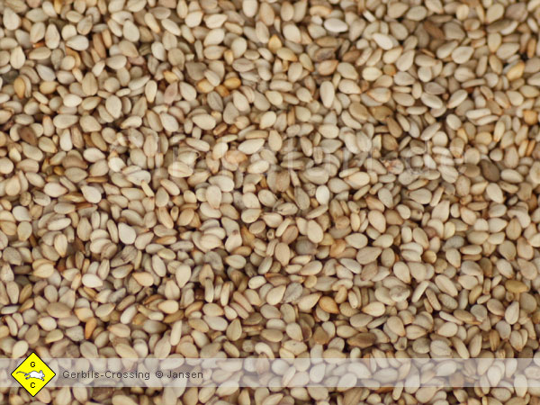 Sesam Zusatz Futtermischung Rennmausfutter