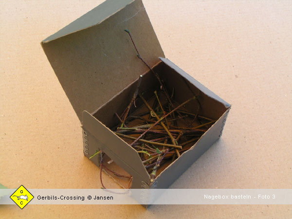 Rennmaus Nage-Box gegen Langeweile