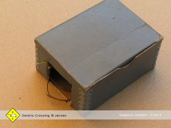 Rennmaus Nage-Box gegen Langeweile