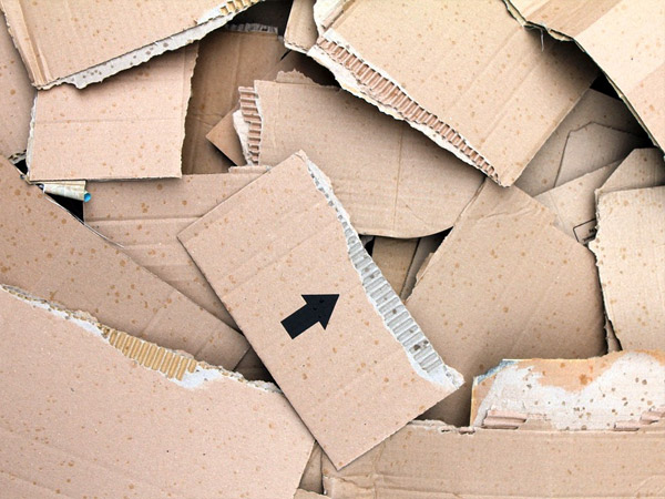 Rennmaus Nagematerial Pappe Karton