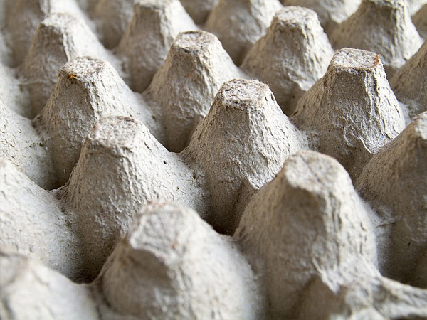 Rennmaus Nagematerial Pappe Karton