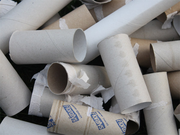 Rennmaus Nagematerial Pappe Karton