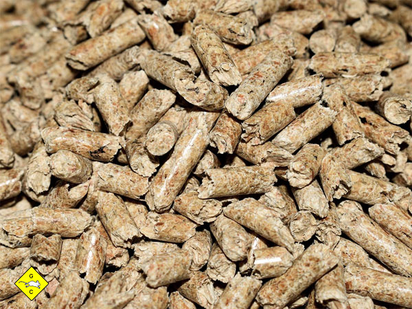 Rennmaus Terrarium Einstreu Pellets