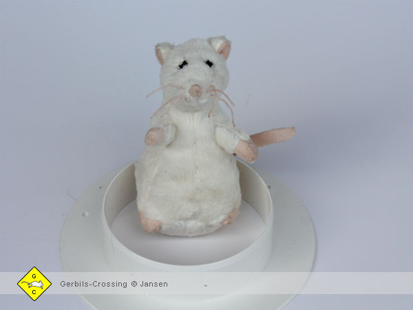 Anschluss einer Röhre an ein Terrarium