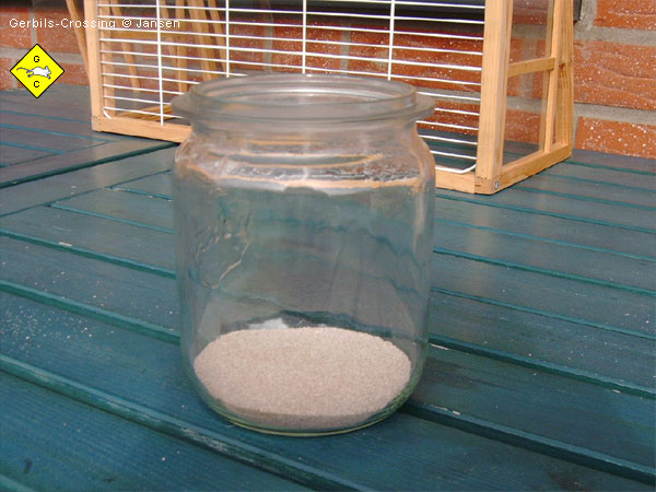 Rennmaus Sandbad Chinchillasand