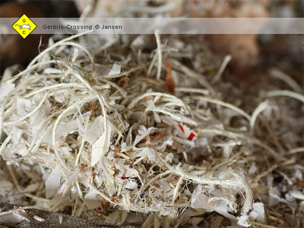 Rennmaus Nagematerial Bindfaden Schnur gegen Langeweile