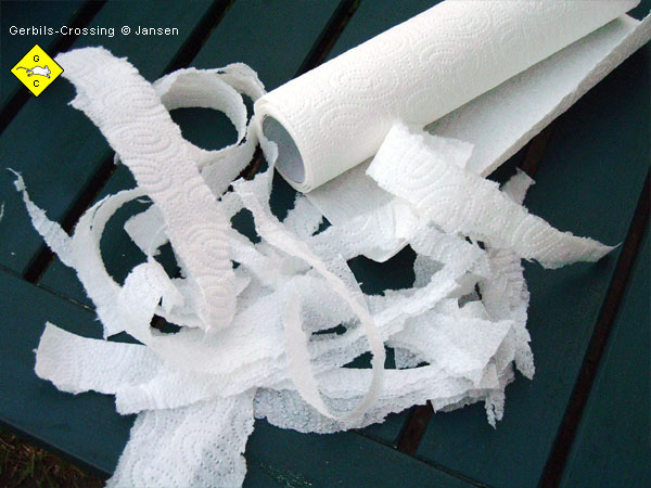 Rennmaus Nagematerial Pappe Karton