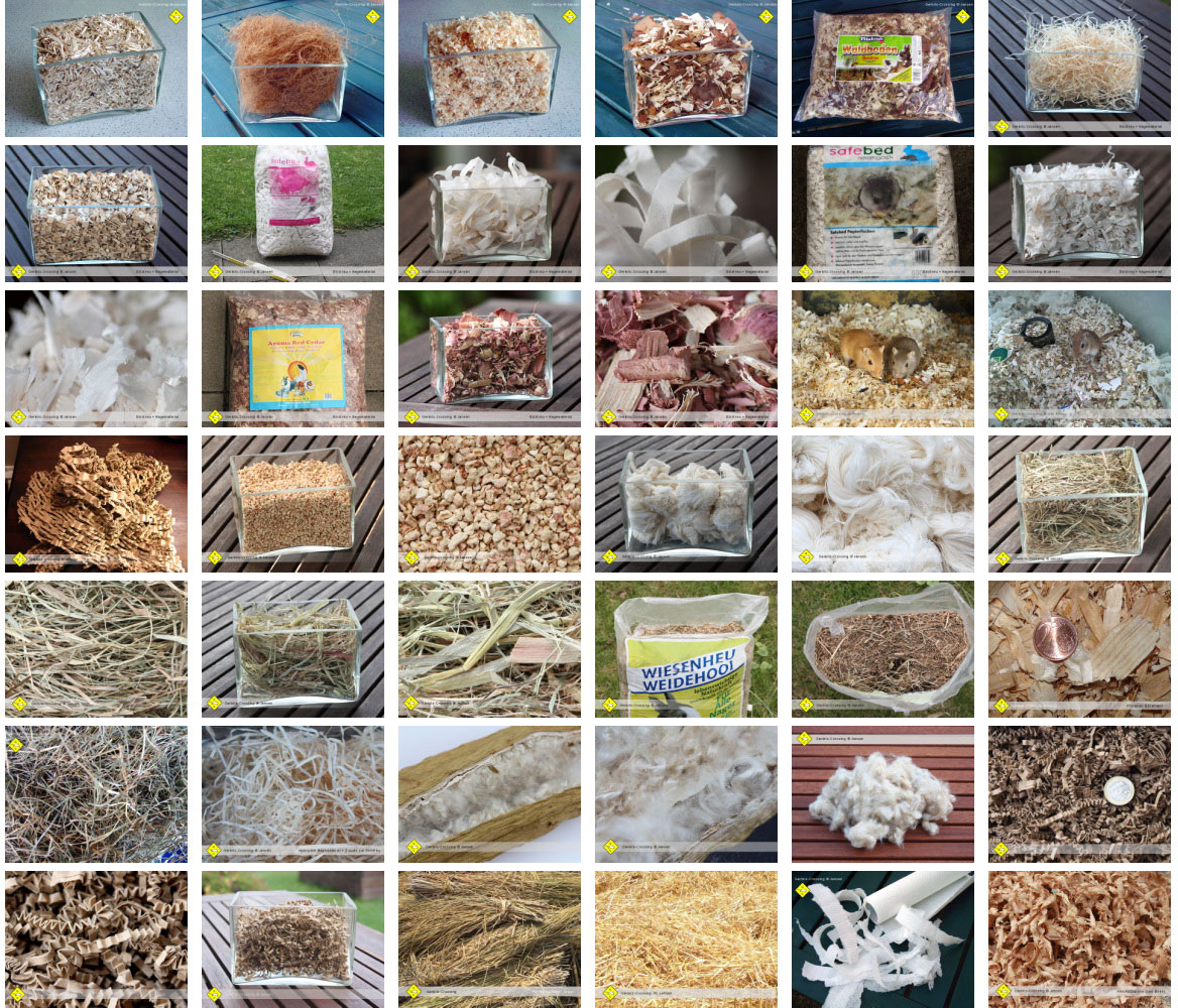 Einstreu Käfig, Terrarium, Weichholzspäne, Stroh, Hanfstroh, Reisstroh, Maisstroh, Maisblätter, Waldboden, Rinde, Heide, Überstreu, Carefresh, Schilf, Gräser, Papierflocken, Papierwolle, Kokosfasern, Baumwollschoten, Exotenstreu, Spielstreu, Papierwolle, Zeder-Überstreu, Kokosfasern, Textilfasern, Papiersteifen, Holzwolle, Plospan, Grundstreu, Beimischungen, Hobelspäne, Heu, Stroh, Wiesenheu, Küchenrolle