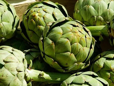 Rennmaus Obst Gemüse Artischocke
