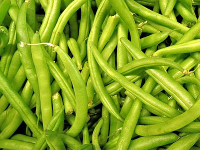 Rennmaus Obst Gemüse Bohnen