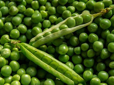 Rennmaus Obst Gemüse Erbsen