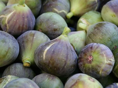 Rennmaus Obst Gemüse Feigen