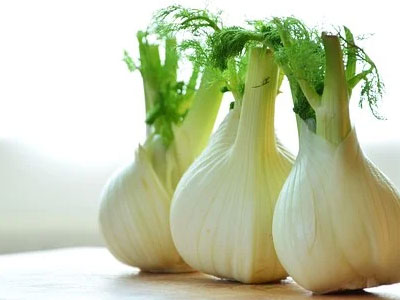 Rennmaus Obst Gemüse Fenchel