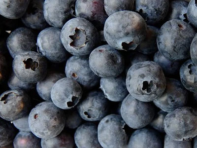 Rennmaus Obst Gemüse Heidelbeeren
