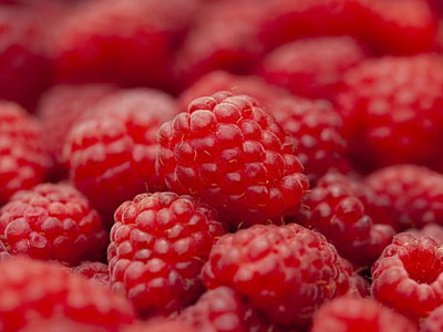 Rennmaus Obst Gemüse Himbeeren