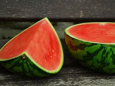 Rennmaus Obst Gemüse Wassermelone