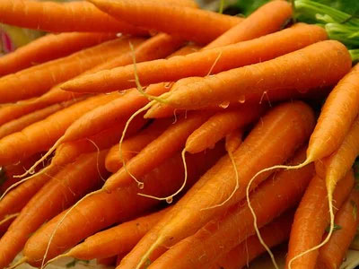 Rennmaus Obst Gemüse Möhren