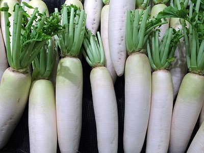 Rennmaus Obst Gemüse Rettich