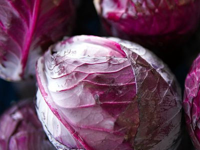 Rennmaus Obst Gemüse Rotkohl