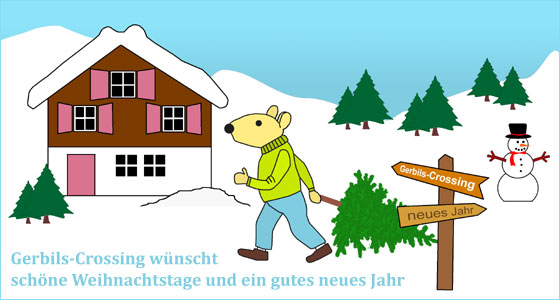 Rennmaus Weihnachtsmaus