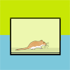 Bauanleitungen Terrarium Rennmaus Wüstenrennmaus Gerbils