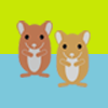 Rennmaus