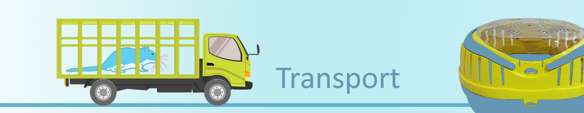 Rennmaus Transportbox