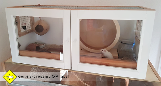 Selbstbau eines Terrariums - Planung