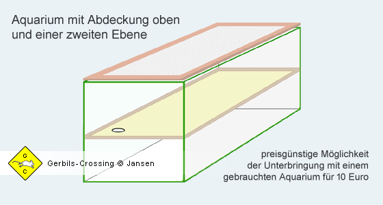 Rennmaus Aquarium Vorteile und Nachteile