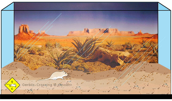 Terrarium gestalten Bildfolie Rückwand