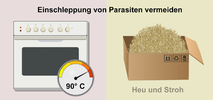 Einstreu Heu und Stroh Parasiten