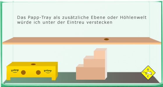 Kellergeschoss für das Terrarium