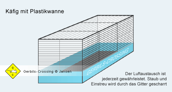 Rennmaus Käfig Vorteile und Nachteile