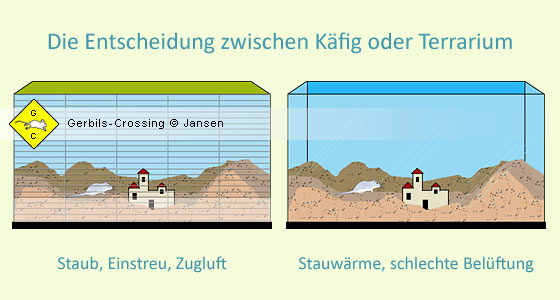 Unterbringung Rennmaus Käfig Terrarium Aquarium