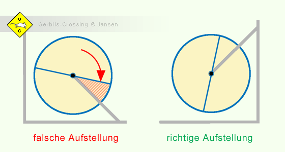 Rennmaus Laufrad
