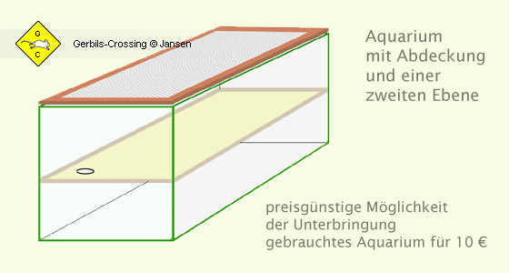 Rennmaus Unterbringung Terrarium Aquarium