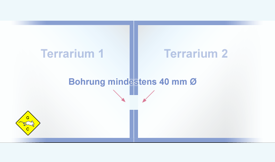 Terrarien Aquarien verbinden Wüstenrennmaus