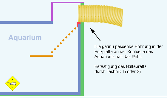 Rennmaus Aquarium Rohr in passgenauer Bohrung